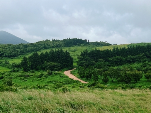 ¿©Çà »çÁø3 ¿©Çà »çÁø3