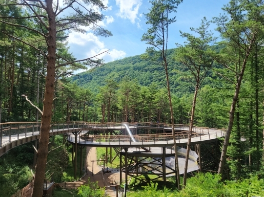 ���� ����5