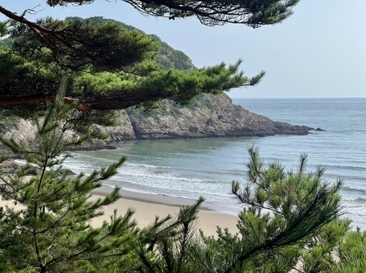 ¿©Çà »çÁø4 ¿©Çà »çÁø4