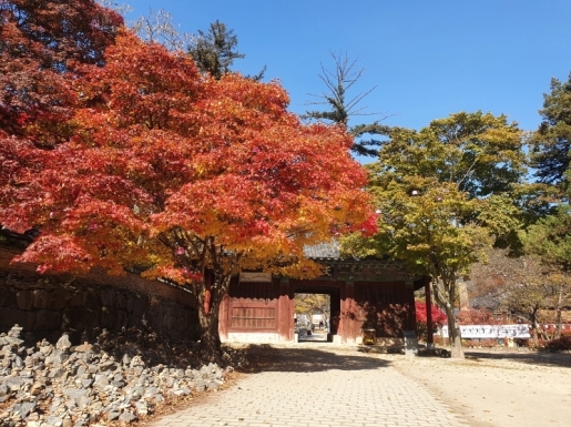 ¿©Çà »çÁø3 ¿©Çà »çÁø3