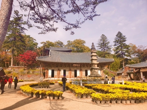 ¿©Çà »çÁø3 ¿©Çà »çÁø3