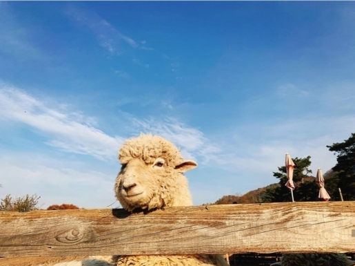 ¿©Çà »çÁø4 ¿©Çà »çÁø4