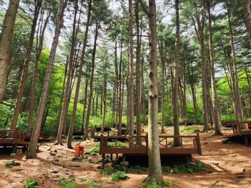 ¿©Çà »çÁø5 ¿©Çà »çÁø5