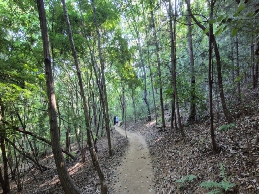 ¿©Çà »çÁø2 ¿©Çà »çÁø2