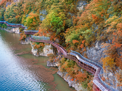 ¿©Çà »çÁø4 ¿©Çà »çÁø4