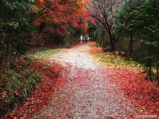 ¿©Çà »çÁø3 ¿©Çà »çÁø3