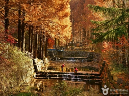 ¿©Çà »çÁø6 ¿©Çà »çÁø6