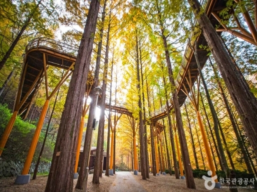 ¿©Çà »çÁø7 ¿©Çà »çÁø7