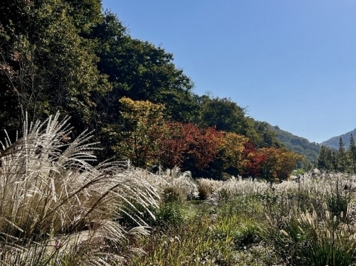 ¿©Çà »çÁø4 ¿©Çà »çÁø4