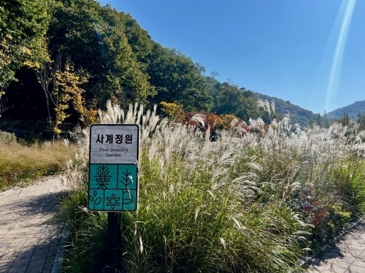 ¿©Çà »çÁø5 ¿©Çà »çÁø5