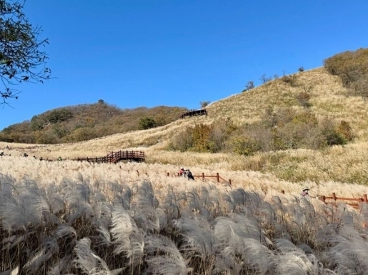 ¿©Çà »çÁø3 ¿©Çà »çÁø3