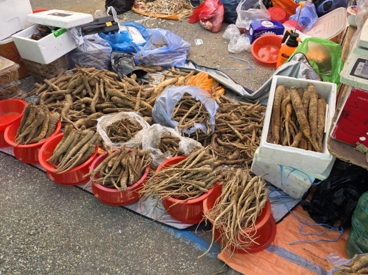 ¿©Çà »çÁø5 ¿©Çà »çÁø5