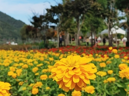 ¿©Çà »çÁø2 ¿©Çà »çÁø2