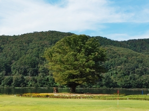 ¿©Çà »çÁø3 ¿©Çà »çÁø3