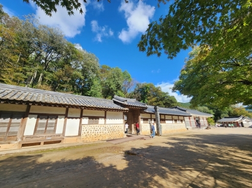 ���� ����4