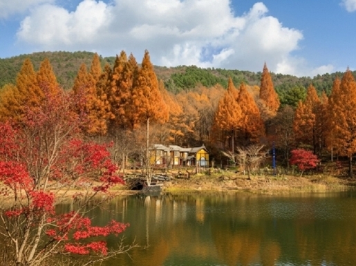 ¿©Çà »çÁø2 ¿©Çà »çÁø2