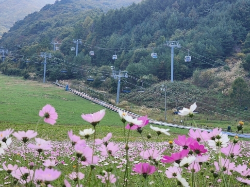 ¿©Çà »çÁø3 ¿©Çà »çÁø3