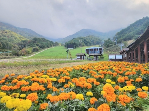 ¿©Çà »çÁø2 ¿©Çà »çÁø2