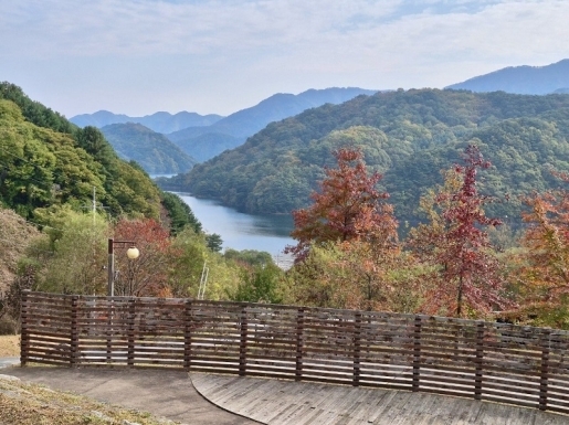 ¿©Çà »çÁø3 ¿©Çà »çÁø3