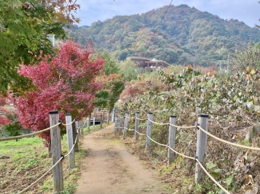 ¿©Çà »çÁø4 ¿©Çà »çÁø4