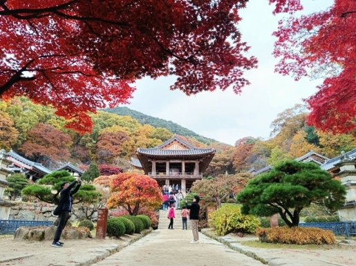 여행 사진3