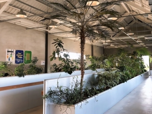 ���� ����4