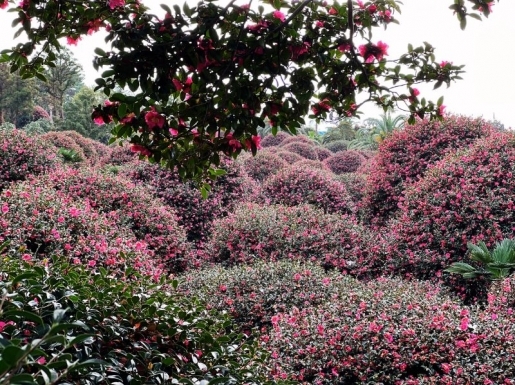 ���� ����2