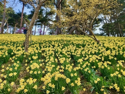 ���� ����6