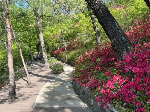 ���� ����6