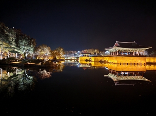 ���� ����4