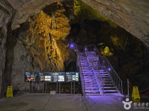 ���� ����3