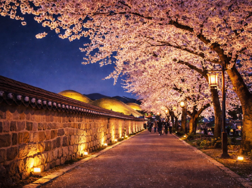 ���� ����1