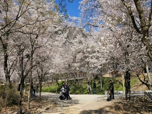 ���� ����6