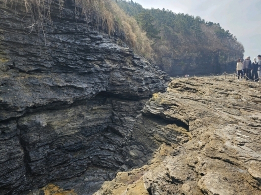 ���� ����4