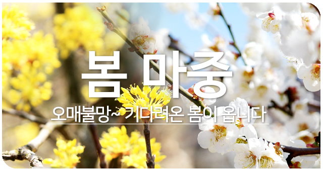 2022 ���� Ư�������