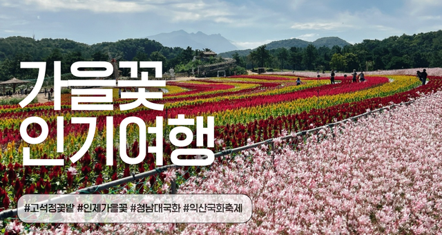 가을꽃