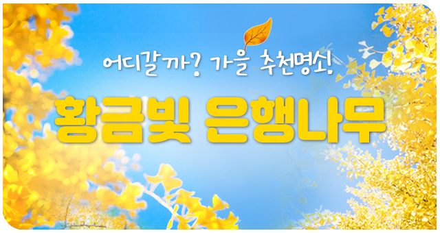 은행나무